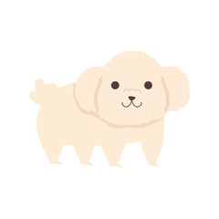 cute little dog french poodle character