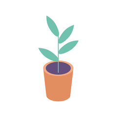 houseplant in ceramic pot isometric icon