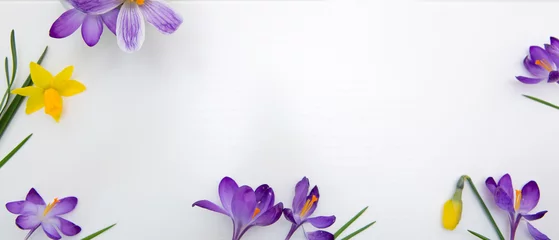 Fotobehang Krokus Purple crocuses and daffodil isolated on white wood Background.  © Swetlana Wall