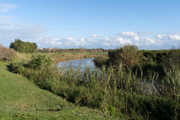 Alexander River and Turtle Bridge