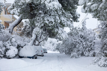 Fototapeta premium Beautiful winter morning snow covered streets of Athens, Greece, 16th of February 2021.