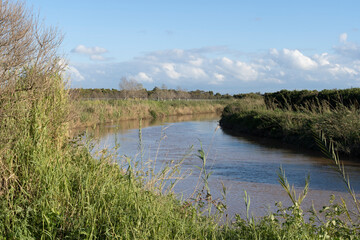 Alexander River and Turtle Bridge