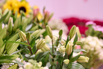 Bunches of white alsrtomeria in the flowers shop, sunflowers on the background