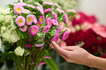 Florist touching pink flowers with the hand, red roses on the background
