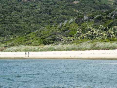 Old Settlement Beach, Lord Howe Island, NSW, Australia