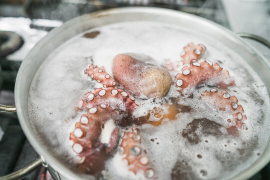 From above of delicious giant Pacific octopus in metal saucepan with boiling water placed on stove in kitchen