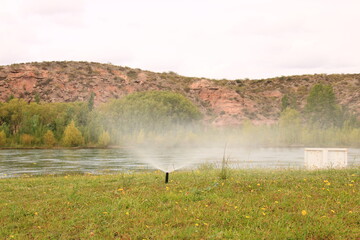 artificial irrigation in an urban area in Neuquén Patagonia Argentina