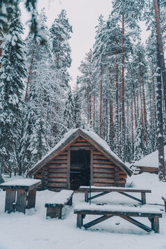 Small wooden shack and benches placed in snowy woods among tall coniferous trees in winter
