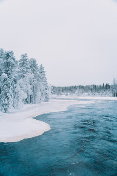 Scenic view of frozen river surrounded by tall coniferous trees growing in snowy forest in winter