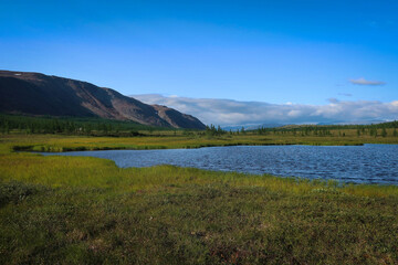 Landscape of Polar Ural mountains by summer near Sob River and Kharp village, Russia