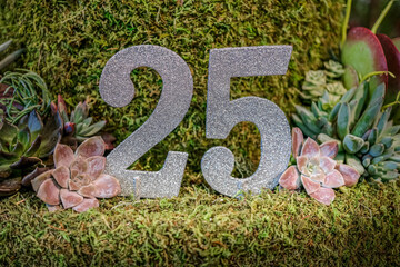 A decorative sign of the number 25