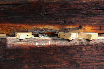 Light wooden triangles among dark wood. Wooden wall from logs as a background texture