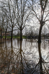 Obraz premium Allassac (Corrèze, France) - Garavet - Inondations hivernales de la Vézère