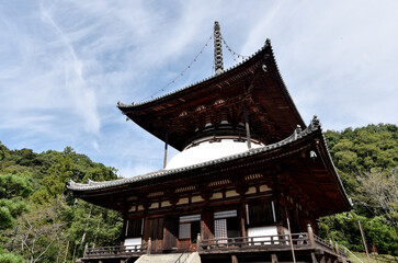 Fototapeta premium 根来寺 大塔 和歌山県岩出市