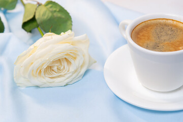 White rose with a Cup of coffee on a blue background. concept of march 8 and valentine.
