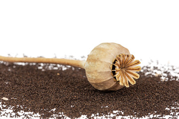 Dried poppy box and spilled seeds, isolated on white background
