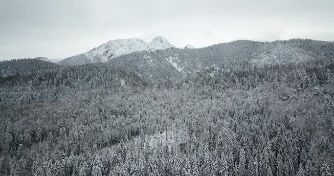 Winter in the mountains. Zakopane in the snow