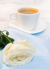 White rose with a Cup of coffee on a blue background. concept of march 8 and valentine.