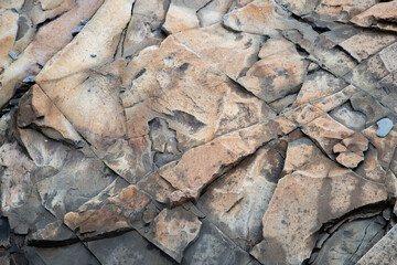 Texture Rocks in Acadia National Park