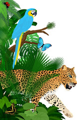 Vector jungle rainforest foliage vertical border illustration with blue macaw, jaguar and butterflies © Save Jungle