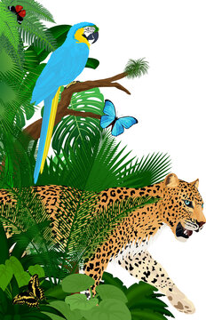 Vector jungle rainforest foliage vertical border illustration with blue macaw, jaguar and butterflies