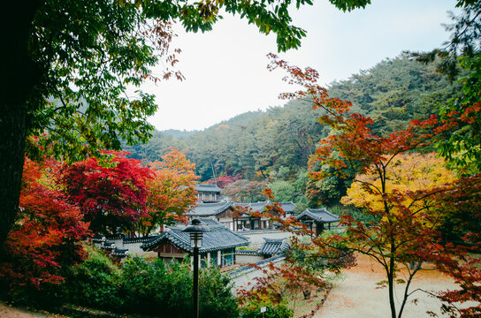 Dosan Seowon Korean Confucian 한국의 서원 도산서원 가을