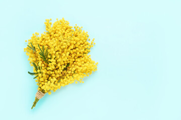 Mimosa flowers bouquet on a light blue background. Copy space, top view. Easter, Women's day concept.