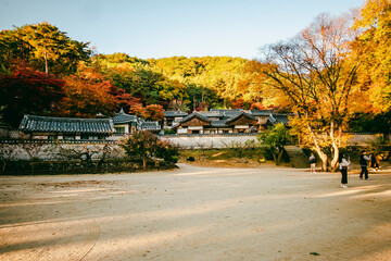 Obraz premium 한국 서원 도산서원 가을
