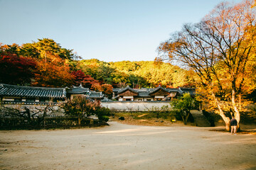 한국 서원 도산서원 가을