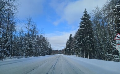 Obraz premium road with horizon on blue sky and clouds in the daytime at winter with snow covered trees