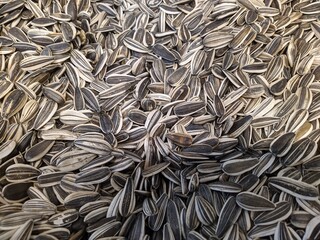 lot of sunflower seeds in the market closeup photo