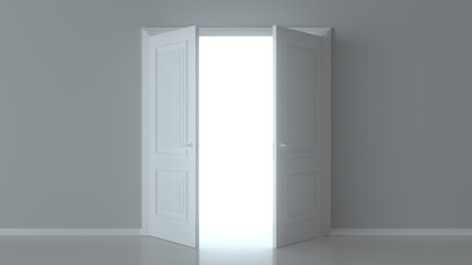 Double open white door on white background. Front view. Empty room interior. Choice, business and success concept. Concept illustration for welcome, invitation to enter or new opportunity. 3D render