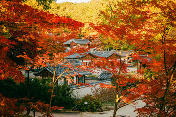 한국 서원 도산서원 가을