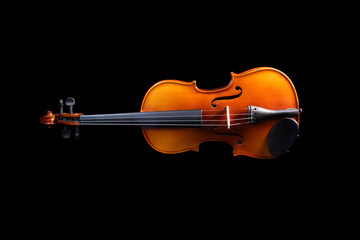 Beautiful violin parts, close-ups in different sections, musical instrument