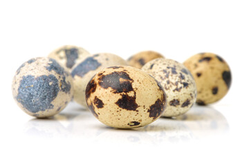 Obraz premium quail eggs isolated on white
