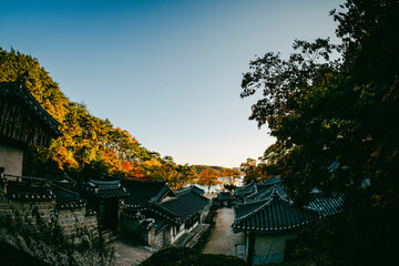 한국 서원 도산서원 가을