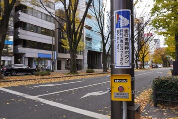 信号の歩行者用押しボタン/The button of pedestrian light controlled crossing