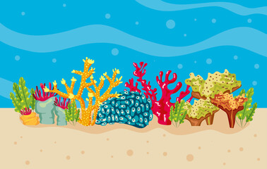 Naklejka na ściany i meble corals and algaes in sea water nature scene