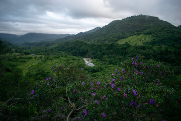 beautiful Colombian landscapes to enjoy with the family