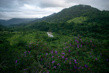 beautiful Colombian landscapes to enjoy with the family