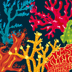 colorful corals sea life nature pattern