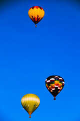 Fototapeta premium hot air balloon