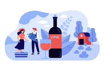 Happy tiny couple producing natural wine flat vector illustration. Cartoon characters growing organic grapes for making wine. Alcohol drinks and production concept
