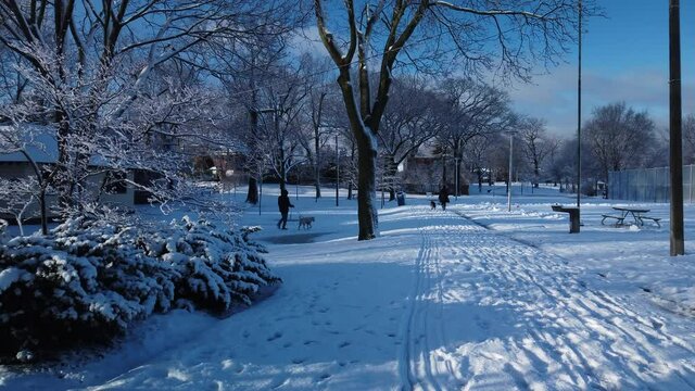 A beautiful winter morning with fresh snowfall and dog walkers in the park