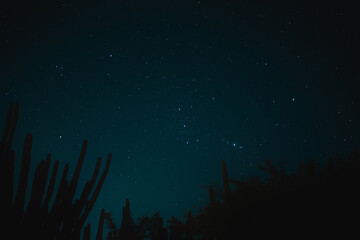 Noche en el desierto