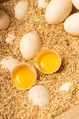 Double yellow stupid egg with characteristics of Northeast China