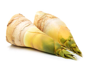 Bamboo shoot on the white background