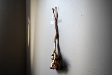 Dried-up Flower on the wall