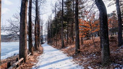 겨울산책로