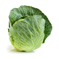 cabbage isolated on white background
